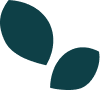 Two teal leaves