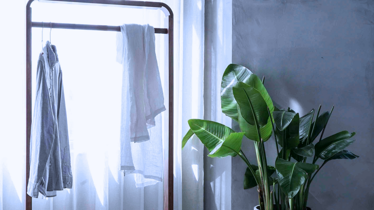 A tall dark metal clothing rack with a warm wood frame stands beside a window, holding a white towel and a light gray shirt. A large green potted plant is in the foreground against a gray wall and white curtain.