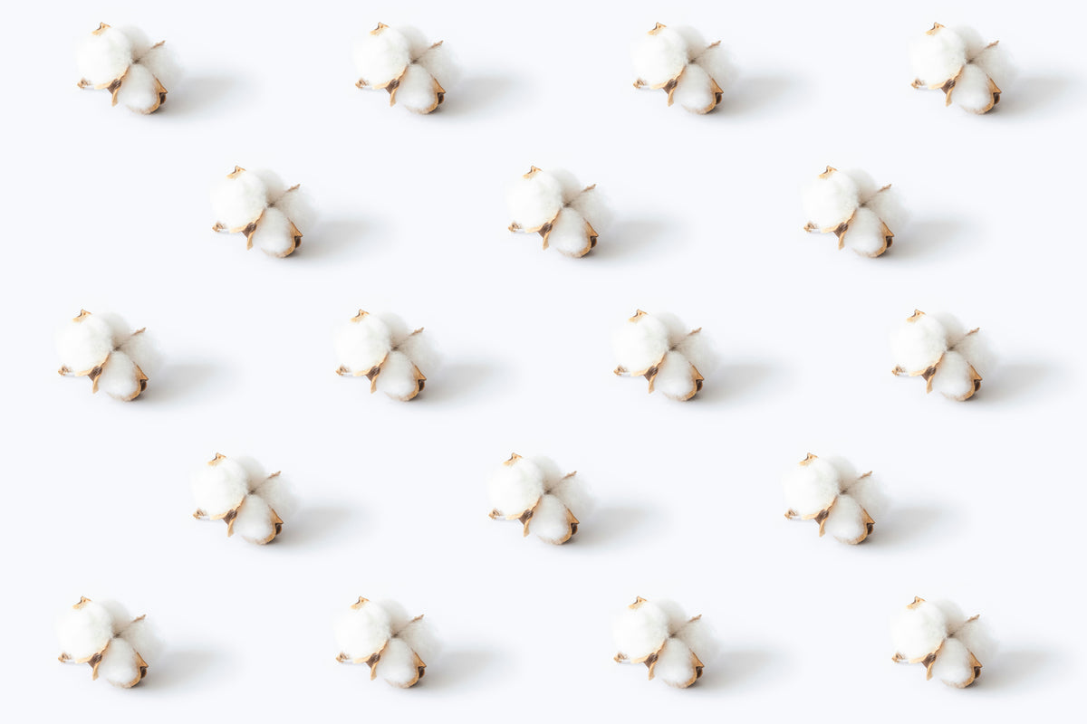 Cotton balls forming a background placed at egal distance from each other on white back