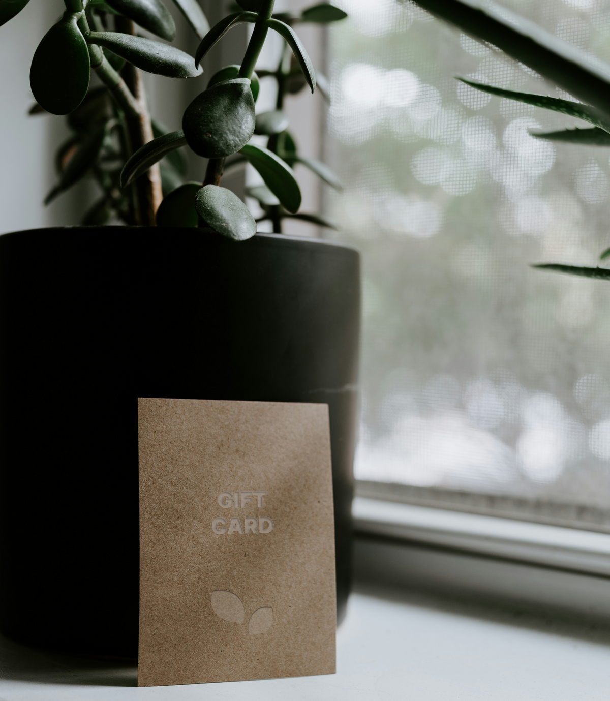 A brown kraft paper gift card with 'GIFT CARD' printed on it, placed in front of a potted green plant on a windowsill with a blurred outdoor background.